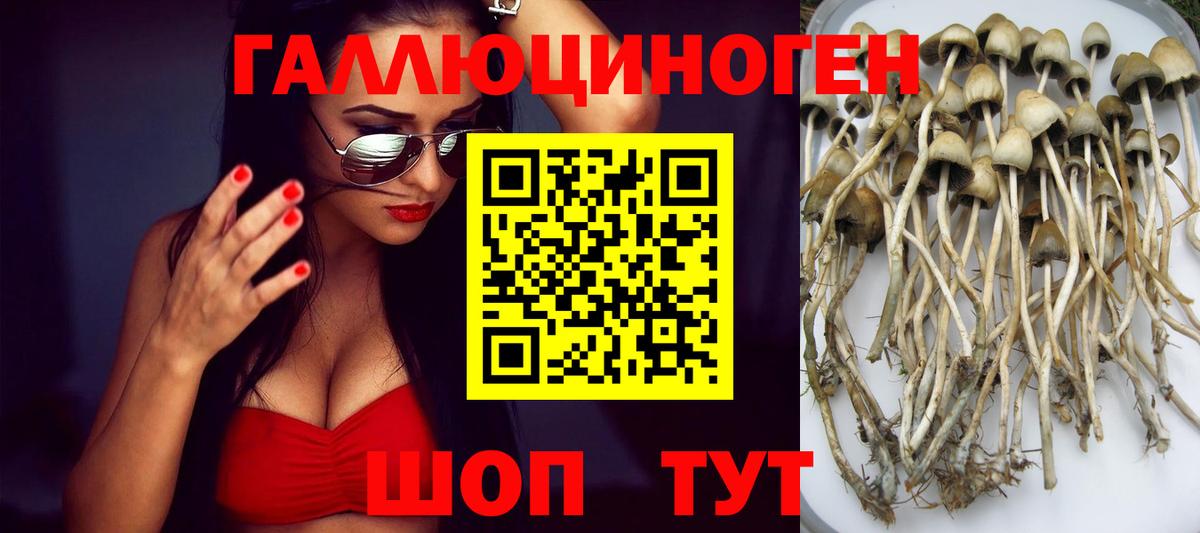 Псилоцибиновые грибы ЛСД  Вход с VPN  Кемерово  Галлюциногенные грибы ЛСД 